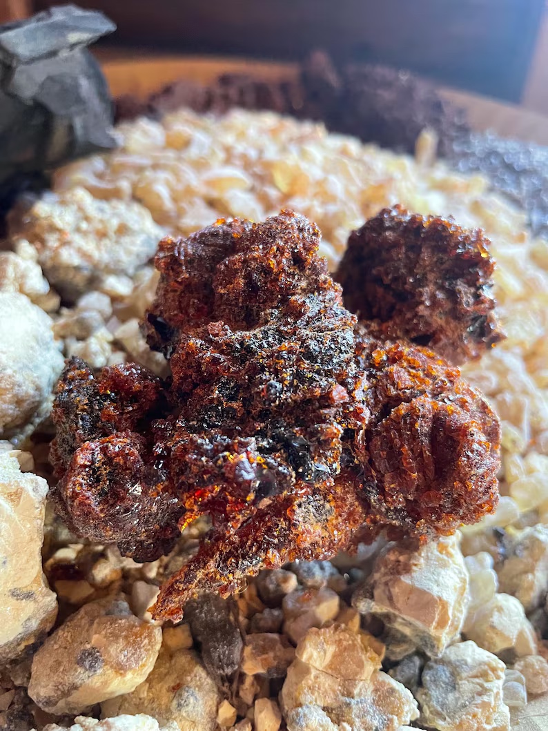 Rare Coral Gum Resin