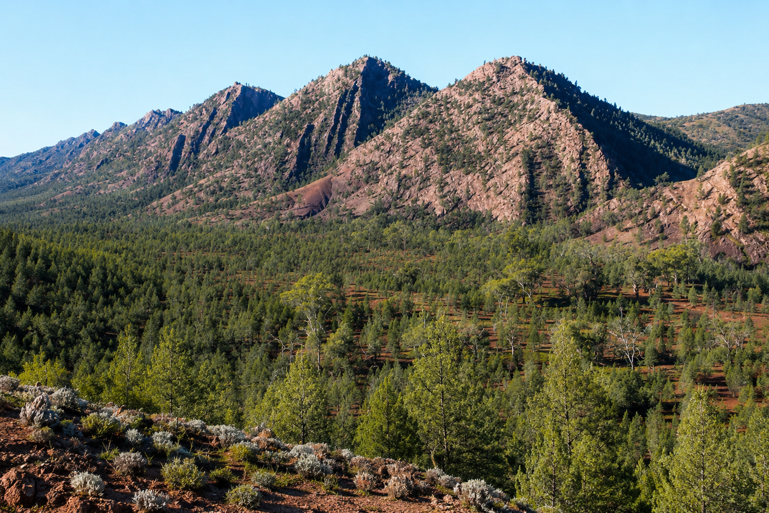 ABC Ranges landscape in the Flinders Ranges